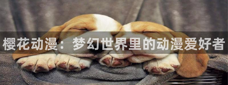 omofun正版官网下载：樱花动漫：梦幻世界里的动漫爱好者