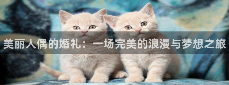 omofun更新：美丽人偶的婚礼：一场完美的浪漫与梦想之旅
