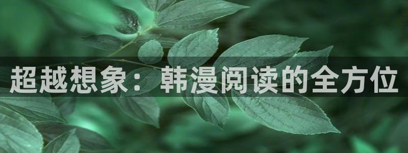 虫虫漫画正版入口：超越想象：韩漫阅读的全方位