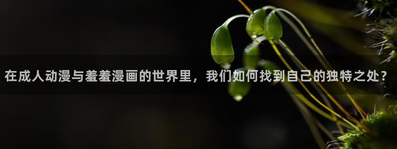 动漫共和国(omofun)官网：在成人动漫与羞羞漫画的世界里，我们如何找到自己的独特之处？