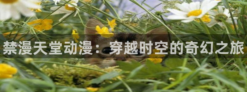 omofun苹果下载ios：禁漫天堂动漫：穿越时空的奇幻之旅