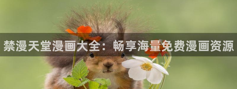 虫虫漫画最新版：禁漫天堂漫画大全：畅享海量免费漫画资源