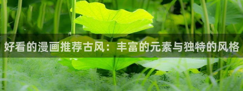 omofun网页：好看的漫画推荐古风：丰富的元素与独特的风格