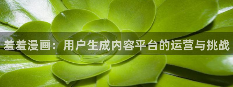 omofun 宕卧略：羞羞漫画：用户生成内容平台的运营与挑战