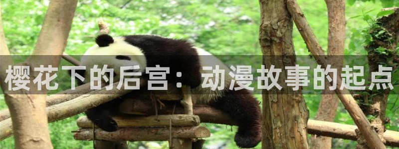 omofun.onl：樱花下的后宫：动漫故事的起点