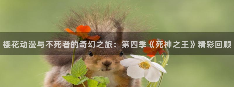 omofun动漫怎么下载：樱花动漫与不死者的奇幻之旅：第四季《死神之王》精彩回顾