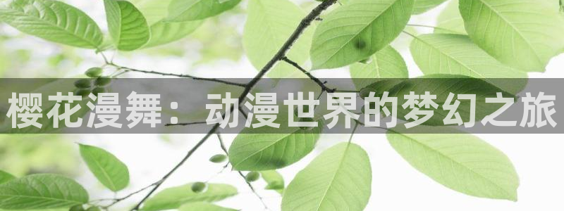 动漫omofun下载：樱花漫舞：动漫世界的梦幻之旅